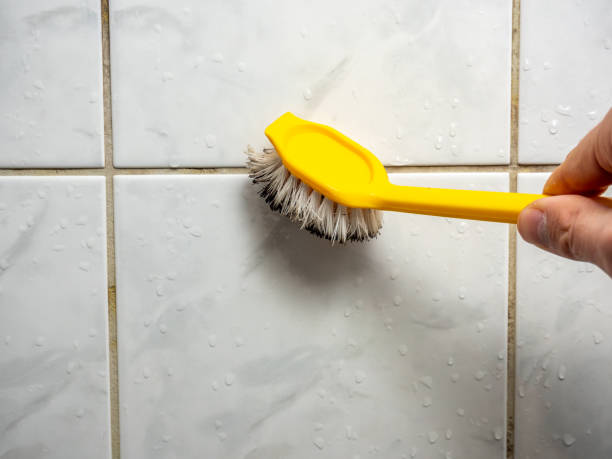 Best Same-Day Mold Removal  in Shawneetown, IL