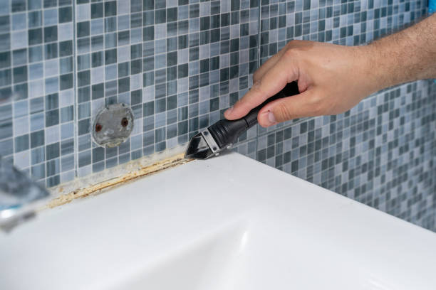 Best Mold Testing  in Shawneetown, IL